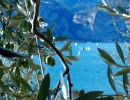 brenzone-lago-di-garda-11